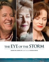 Fırtınanın Gözü 2011 Filmi izle