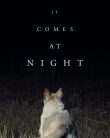 Gece Gelen – It Comes at Night 2017 izle