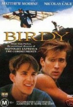 Birdy Filmi izle