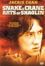 Shaolin’in Yılan Ve Turna Tekniği Filmi izle